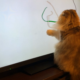 お風呂でパニックの画像