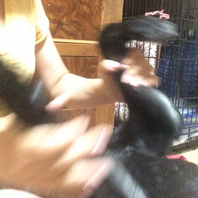 初めての動画投稿の画像