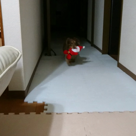 おもちゃで遊ぶの画像