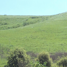 本日も晴天なり ジブリの世界みたいの画像