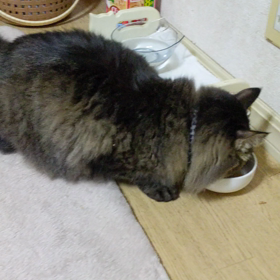 わからないまま。の画像