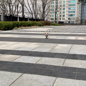 リップルキッズパーク　オンライン英会話　二回目　三回目の画像