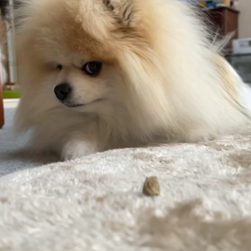 スローモーションの画像