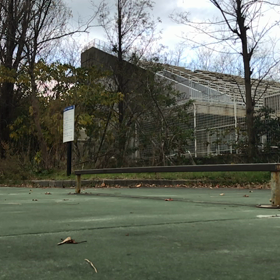 今朝の横乗りスケート その2の画像