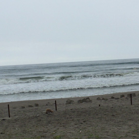 今朝の海の画像