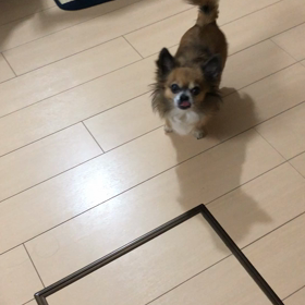 知らんぷりの画像