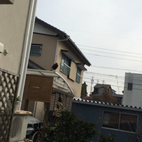 何か  間違ったるよね(-｡-;の画像