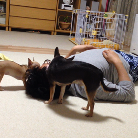 襲われる…(¯―¯٥ )の画像