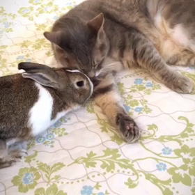 ｢ちこうよれ♡｣の画像