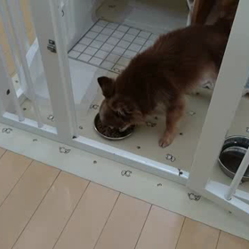 突然のストライキ。の画像