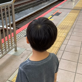 東北新幹線、北陸新幹線の画像