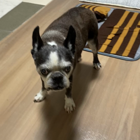 微調整が必要なお年頃の画像