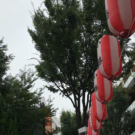 雑俳一句 2017.08.10.の画像