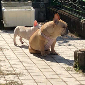 今日のふみ君 ジジイと孫の画像