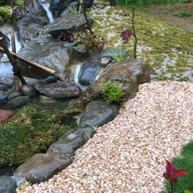 庭づくり～元気なメダカ～の画像