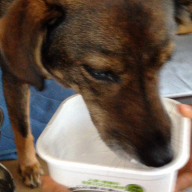 ヨーグルト〜♪の画像