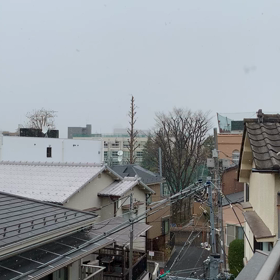 雪降ってきたの画像
