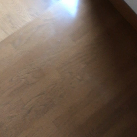 今日はいるのかな❓の画像