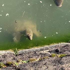 上位三篇の画像