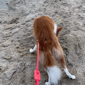 子宮を摘出した理由②の画像