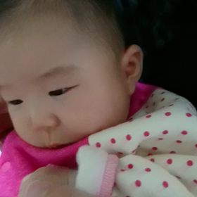 あたしもゴマちゃんに逢いたいなの画像