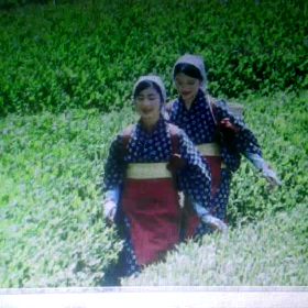 フルバージョンでました！の画像