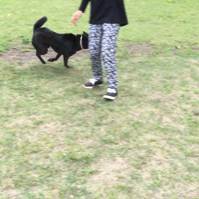 GW最終日の画像