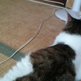 サンダルの画像