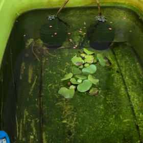 台風も過ぎ去りの画像