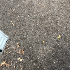 ジャニーズ並みの人気ですの画像