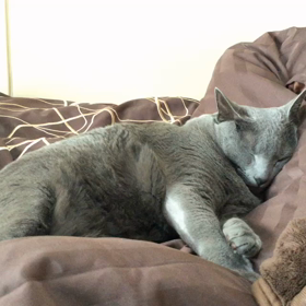 終わりのない物語ー現実世界とのシンクロの画像