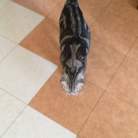 台風一過…の画像