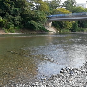 梅雨明ける  2019.07.29の画像