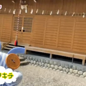 秘技！セミつかみ！の画像