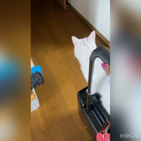 お出かけ気分？！の画像