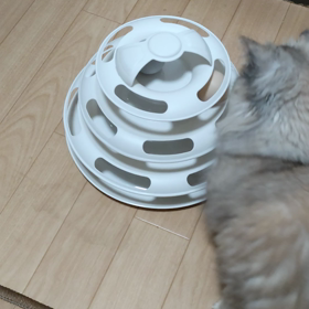 おもちゃの画像