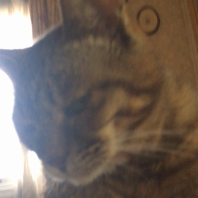 Always love you forever.の画像