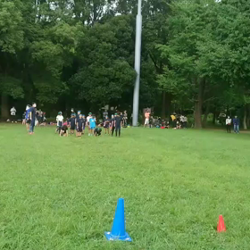 ダッシュ(青・緑グループ)②の画像