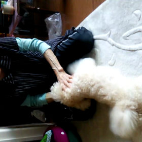 ラブおおはしゃぎさ！の画像