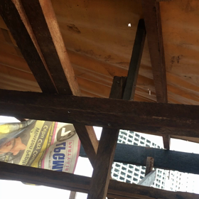 遅い投稿ですがの画像