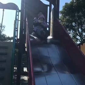 あけましておめでとうございます❗1月前半の予定ですの画像