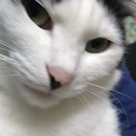 だっこスコ座りの画像