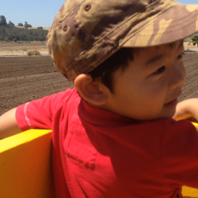 イチゴ狩り 動画の画像