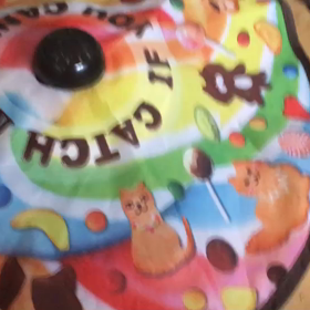 瞬足 チビ黒ちゃんの画像