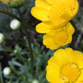 前向きに笑顔☺を心がけるの画像