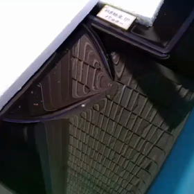 今回の冬初めての餌の画像