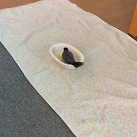 文ちゃんの水浴びの画像