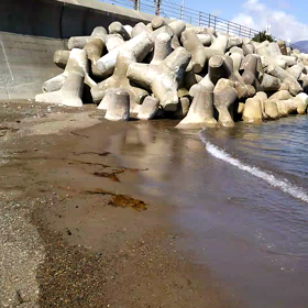 佐渡の春海 動画の画像