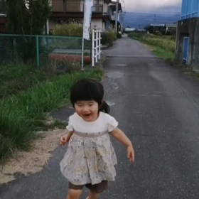 お散歩動画の画像