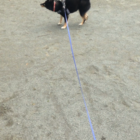 雪日記。の画像